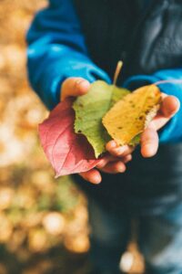 Bastel-Ideen für den Herbst